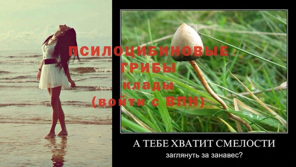 прущий лед Алексеевка