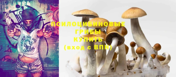 прущие крисы Алзамай
