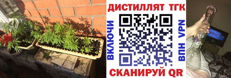 наркота  блэк спрут ССЫЛКА  ТГК вейп  Жиздра 