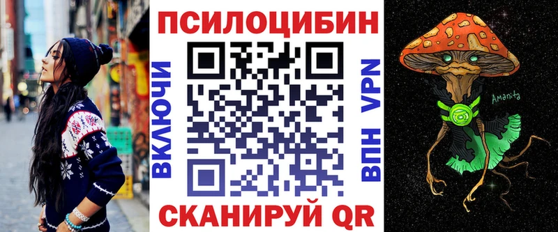 Псилоцибиновые грибы мицелий  купить закладку  MEGA онион  Жиздра 