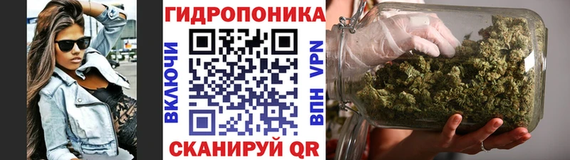 Каннабис MAZAR  Жиздра 